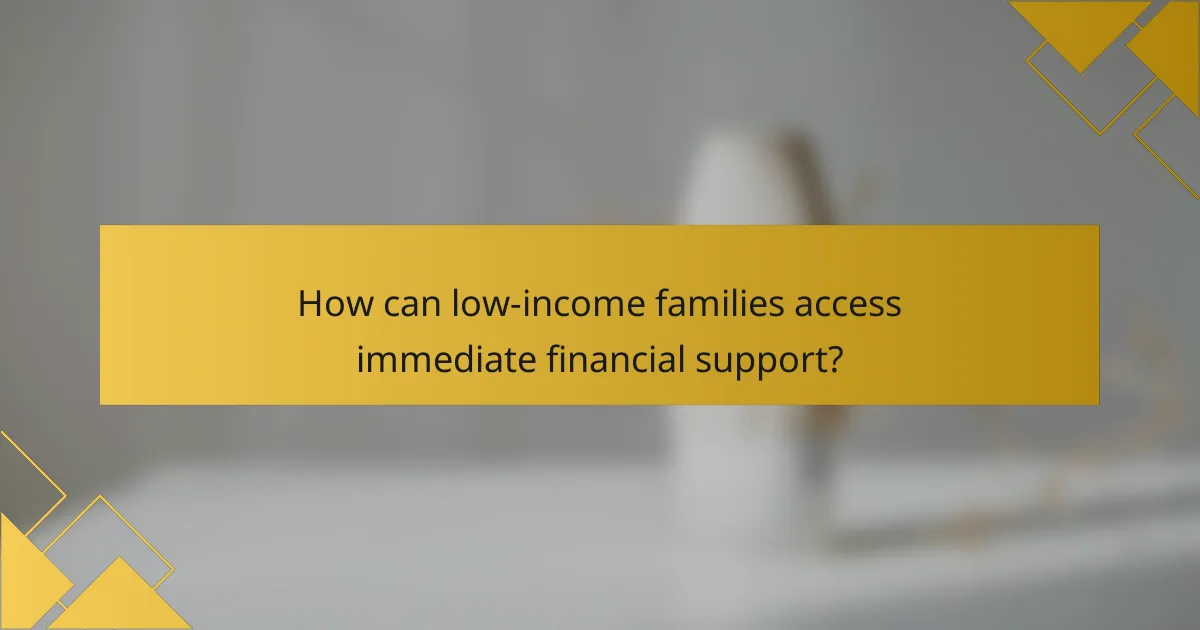 How can low-income families access immediate financial support?