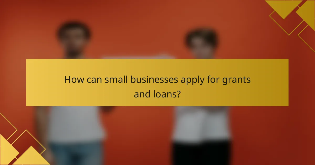How can small businesses apply for grants and loans?