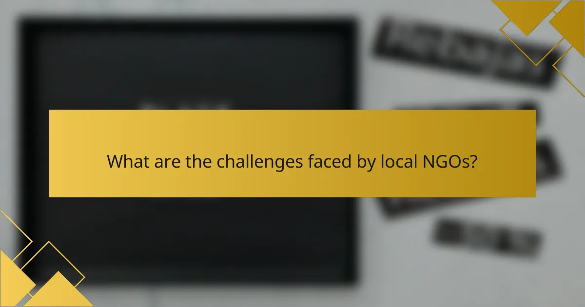 What are the challenges faced by local NGOs?
