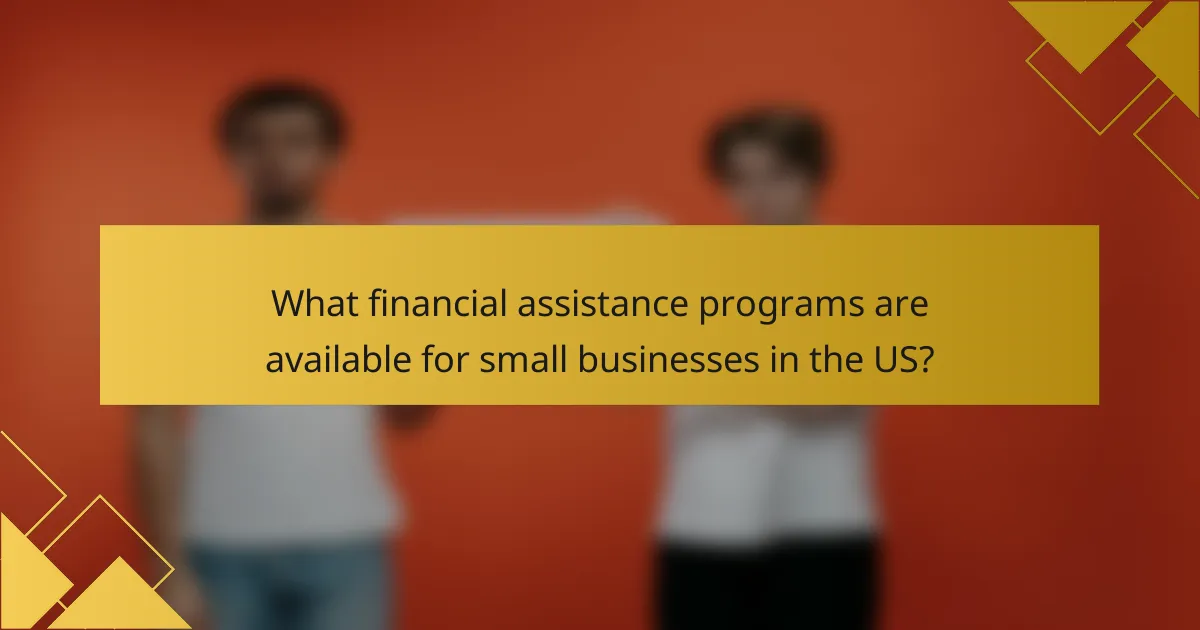 What financial assistance programs are available for small businesses in the US?